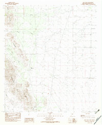preview thumbnail of historical topo map of Hidalgo County, NM in 1982