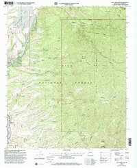 Download a high-resolution, GPS-compatible USGS topo map for Holt Mountain, NM (2002 edition)