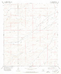 Download a high-resolution, GPS-compatible USGS topo map for Holt Tank, NM (1979 edition)