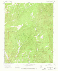 Download a high-resolution, GPS-compatible USGS topo map for Honey Boy Ranch, NM (1972 edition)
