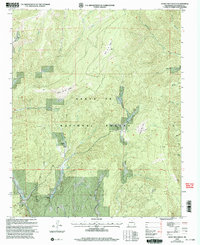 Download a high-resolution, GPS-compatible USGS topo map for Honey Boy Ranch, NM (2003 edition)