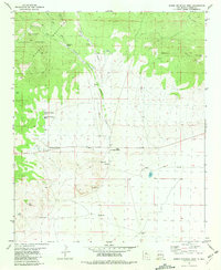 Download a high-resolution, GPS-compatible USGS topo map for Horse Mountain West, NM (1981 edition)