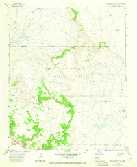 Download a high-resolution, GPS-compatible USGS topo map for Horse Pasture Tank, NM (1965 edition)