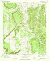 Download a high-resolution, GPS-compatible USGS topo map for Horsehead Canyon, NM (1976 edition)