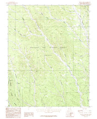 Download a high-resolution, GPS-compatible USGS topo map for House Canyon, NM (1987 edition)