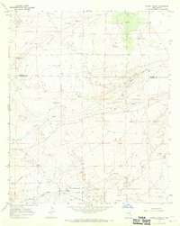 Download a high-resolution, GPS-compatible USGS topo map for Howell Ranch, NM (1971 edition)