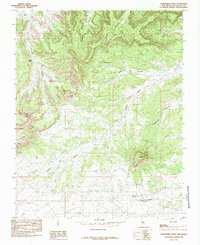 Download a high-resolution, GPS-compatible USGS topo map for Huerfanito Peak, NM (1985 edition)