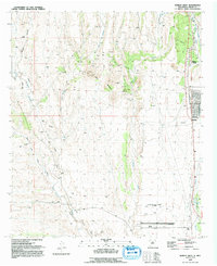 Download a high-resolution, GPS-compatible USGS topo map for Hurley West, NM (1992 edition)