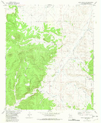 Download a high-resolution, GPS-compatible USGS topo map for Indian Peaks East, NM (1981 edition)