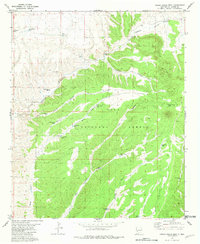 Download a high-resolution, GPS-compatible USGS topo map for Indian Peaks West, NM (1981 edition)