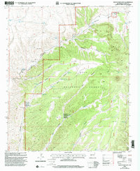 Download a high-resolution, GPS-compatible USGS topo map for Indian Peaks West, NM (2002 edition)