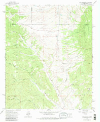 Download a high-resolution, GPS-compatible USGS topo map for Iron Mountain, NM (1980 edition)