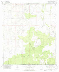 Download a high-resolution, GPS-compatible USGS topo map for Javelina Basin, NM (1975 edition)
