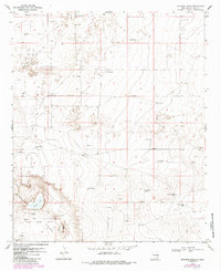Download a high-resolution, GPS-compatible USGS topo map for Johnson Ranch, NM (1985 edition)