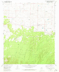 Download a high-resolution, GPS-compatible USGS topo map for Kyle Harrison Canyon, NM (1981 edition)
