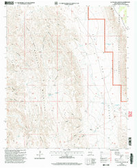 Download a high-resolution, GPS-compatible USGS topo map for La Paloma Canyon, NM (2003 edition)