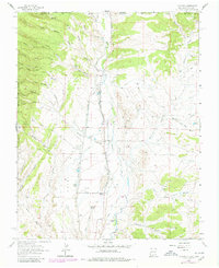 Download a high-resolution, GPS-compatible USGS topo map for La Plata, NM (1980 edition)