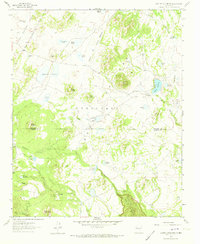 Download a high-resolution, GPS-compatible USGS topo map for Laguna Canoneros, NM (1973 edition)