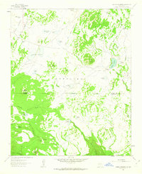Download a high-resolution, GPS-compatible USGS topo map for Laguna Canoneros, NM (1963 edition)