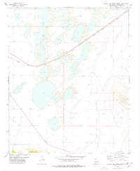 Download a high-resolution, GPS-compatible USGS topo map for Laguna Del Perro North, NM (1978 edition)