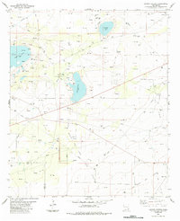 Download a high-resolution, GPS-compatible USGS topo map for Laguna Gatuna, NM (1984 edition)