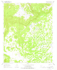 Download a high-resolution, GPS-compatible USGS topo map for Laguna Honda, NM (1978 edition)