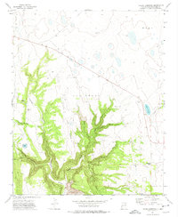 Download a high-resolution, GPS-compatible USGS topo map for Laguna Huerfana, NM (1975 edition)