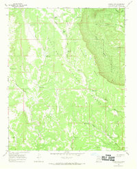 Download a high-resolution, GPS-compatible USGS topo map for Laguna Ortiz, NM (1970 edition)