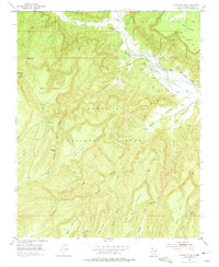 Download a high-resolution, GPS-compatible USGS topo map for Laguna Peak, NM (1975 edition)