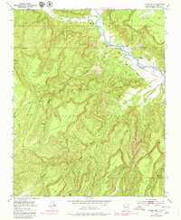 Download a high-resolution, GPS-compatible USGS topo map for Laguna Peak, NM (1980 edition)