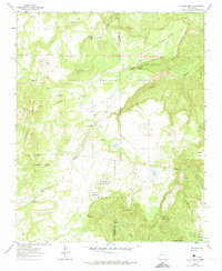 Download a high-resolution, GPS-compatible USGS topo map for Laguna Seca, NM (1974 edition)