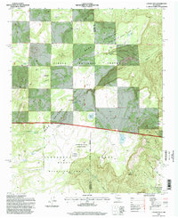 Download a high-resolution, GPS-compatible USGS topo map for Laguna Seca, NM (1998 edition)