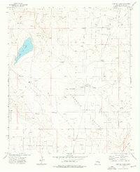 Download a high-resolution, GPS-compatible USGS topo map for Lane Salt Lake, NM (1976 edition)
