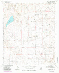 Download a high-resolution, GPS-compatible USGS topo map for Lane Salt Lake, NM (1985 edition)