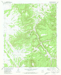 Download a high-resolution, GPS-compatible USGS topo map for Largo Mesa, NM (1981 edition)
