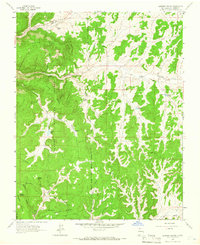 Download a high-resolution, GPS-compatible USGS topo map for Leandro Canyon, NM (1966 edition)
