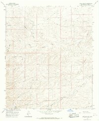 Download a high-resolution, GPS-compatible USGS topo map for Lewis Peak NE, NM (1967 edition)
