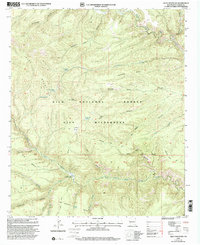 Download a high-resolution, GPS-compatible USGS topo map for Lilley Mountain, NM (2002 edition)