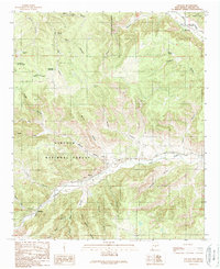 Download a high-resolution, GPS-compatible USGS topo map for Lincoln, NM (1989 edition)