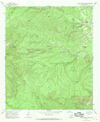 Download a high-resolution, GPS-compatible USGS topo map for Little Turkey Park, NM (1970 edition)