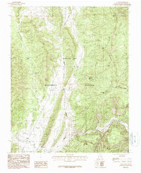 Download a high-resolution, GPS-compatible USGS topo map for Llaves, NM (1987 edition)