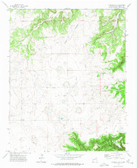 Download a high-resolution, GPS-compatible USGS topo map for Llonidas Lake, NM (1975 edition)