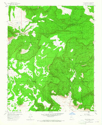 Download a high-resolution, GPS-compatible USGS topo map for Lobo Springs, NM (1965 edition)