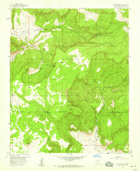 Download a high-resolution, GPS-compatible USGS topo map for Lobo Springs, NM (1959 edition)