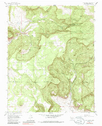 Download a high-resolution, GPS-compatible USGS topo map for Lobo Springs, NM (1985 edition)