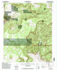 Download a high-resolution, GPS-compatible USGS topo map for Lobo Springs, NM (1998 edition)