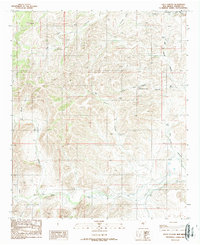 preview thumbnail of historical topo map of Chaves County, NM in 1989