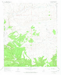 Download a high-resolution, GPS-compatible USGS topo map for Loco Mountain, NM (1974 edition)