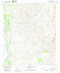 Download a high-resolution, GPS-compatible USGS topo map for Loma De Las Canas, NM (1980 edition)