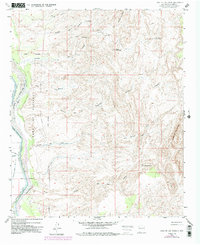 Download a high-resolution, GPS-compatible USGS topo map for Loma De Las Canas, NM (1991 edition)